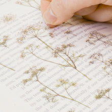 Load image into Gallery viewer, Pressed Flower Sticker - Lace Flower