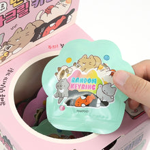 Load image into Gallery viewer, Random Keyring - Nyangnyang Kitty