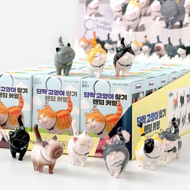Find Your Best Cat - Mystery Keyring