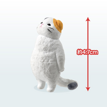 Load image into Gallery viewer, Gazing Animals - Random Figure