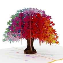 Load image into Gallery viewer, Rainbow Maple - Pop Up Card