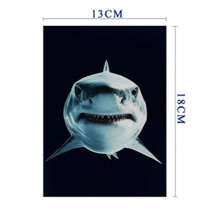 Shark - Pop Up Card