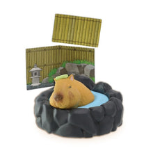 Load image into Gallery viewer, Hot Springs Trip - Random Figure