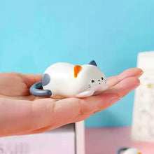Load image into Gallery viewer, Rolling Cat Toy