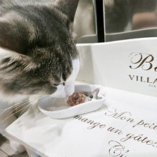 Load image into Gallery viewer, Cat Ceramic Sauce Dish