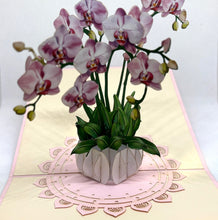 Load image into Gallery viewer, Orchid Plant - Pop Up Card