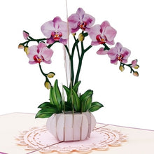 Load image into Gallery viewer, Orchid Plant - Pop Up Card