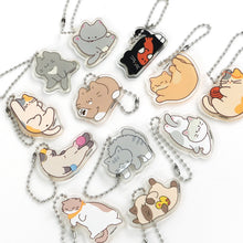 Load image into Gallery viewer, Random Keyring - Nyangnyang Kitty