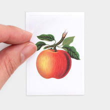 Load image into Gallery viewer, Label and Mini Sticker Pack - Fruit