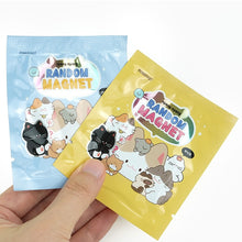 Load image into Gallery viewer, Nyang Nyang Random Magnet