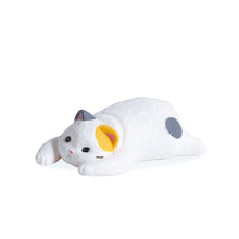 Load image into Gallery viewer, Emptiness Cats - Random Figure
