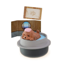 Load image into Gallery viewer, Hot Springs Trip - Random Figure