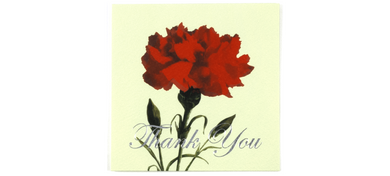 Thank You Carnation - Greeting Card