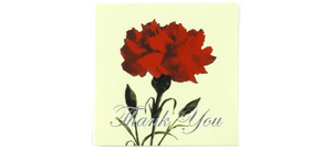 Thank You Carnation - Greeting Card