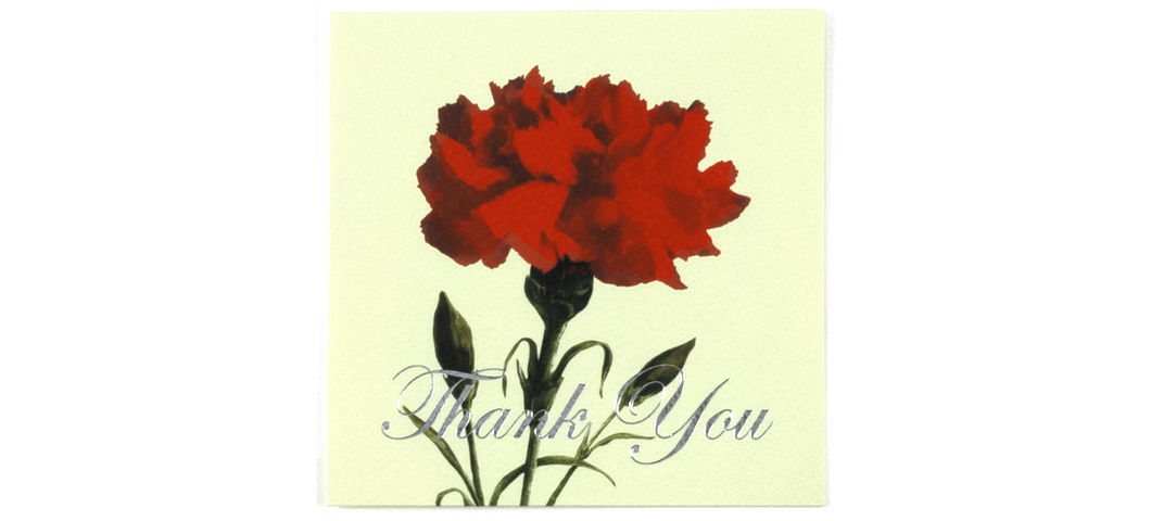 Thank You Carnation - Greeting Card