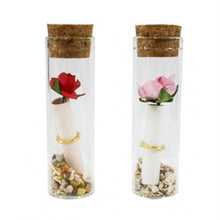 Load image into Gallery viewer, Rose Terrarium Bottle Letter