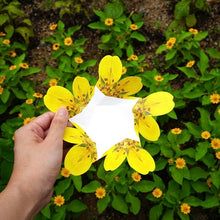 Load image into Gallery viewer, Cinquefoil - Flower Folding Card