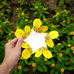 Cinquefoil - Flower Folding Card