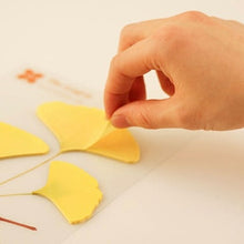 Load image into Gallery viewer, Sticky Leaf - Memo Notes - Ginkgo (Medium)