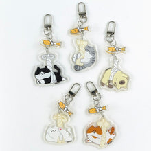 Load image into Gallery viewer, Pollack Kitty Random Keyring
