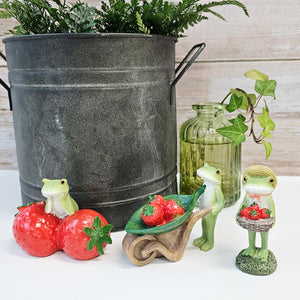 Strawberry Frog Miniature Figurines