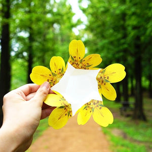 Cinquefoil - Flower Folding Card