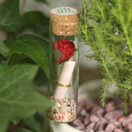 Rose Terrarium Bottle Letter