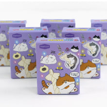 Load image into Gallery viewer, Pollack Kitty Random Keyring