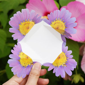 Marguerite - Flower Folding Card