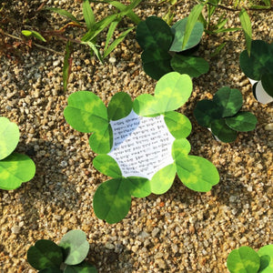 Four Leaf Clover -  Flower Folding Card