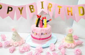 Happy Birthday Bunting