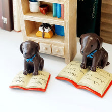 Load image into Gallery viewer, Puppy Library Figurine Set