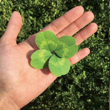 Load image into Gallery viewer, Four Leaf Clover -  Flower Folding Card