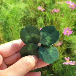 Four Leaf Clover -  Flower Folding Card