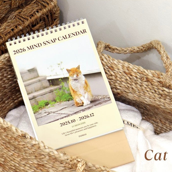 2026 Mind Snap A5 Desk Calendar