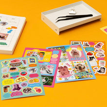 Load image into Gallery viewer, My Palette Sticker Pack