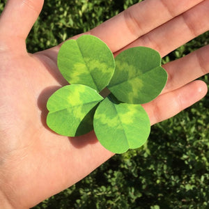 Four Leaf Clover -  Flower Folding Card