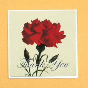 Thank You Carnation - Greeting Card