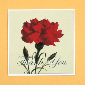 Thank You Card - Carnation