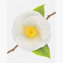 Load image into Gallery viewer, Sticky Leaf - Camellia (Small)