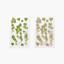 Load image into Gallery viewer, Pressed Flower Sticker - Ivy