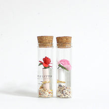 Load image into Gallery viewer, Rose Terrarium Bottle Letter