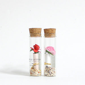 Rose Terrarium Bottle Letter