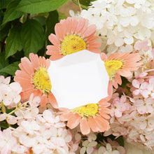 Load image into Gallery viewer, Marguerite - Flower Folding Card