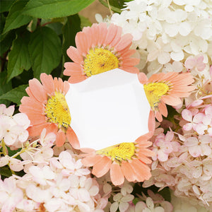 Marguerite - Flower Folding Card