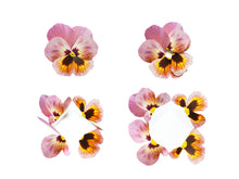 Load image into Gallery viewer, Pansy -  Flower Folding Card