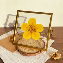 Load image into Gallery viewer, Cinquefoil - Flower Folding Card