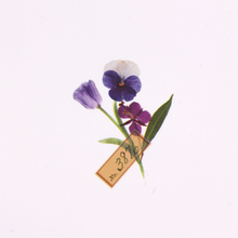 Load image into Gallery viewer, Botanical Sticker Set - Purple