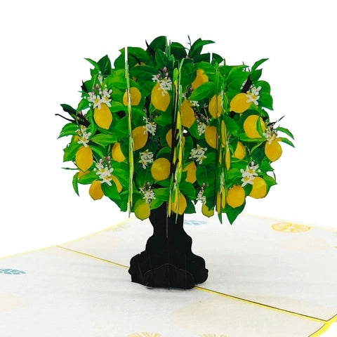 Lemon Tree - Pop Up Card