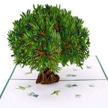 Load image into Gallery viewer, Olive Tree - Pop Up Card